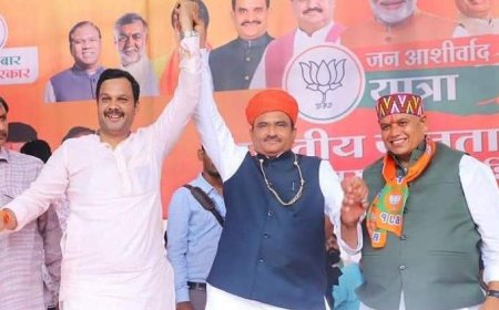 उन्हेल में भाजपा की जनसभा का आयोजन हुआ